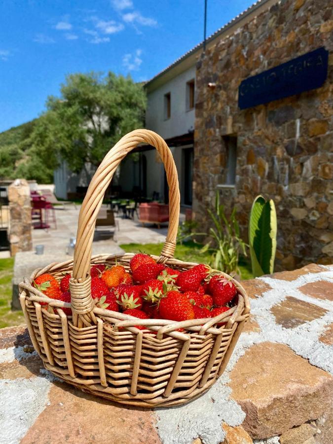 Casa Voltegira Bed & Breakfast Manso Exterior photo